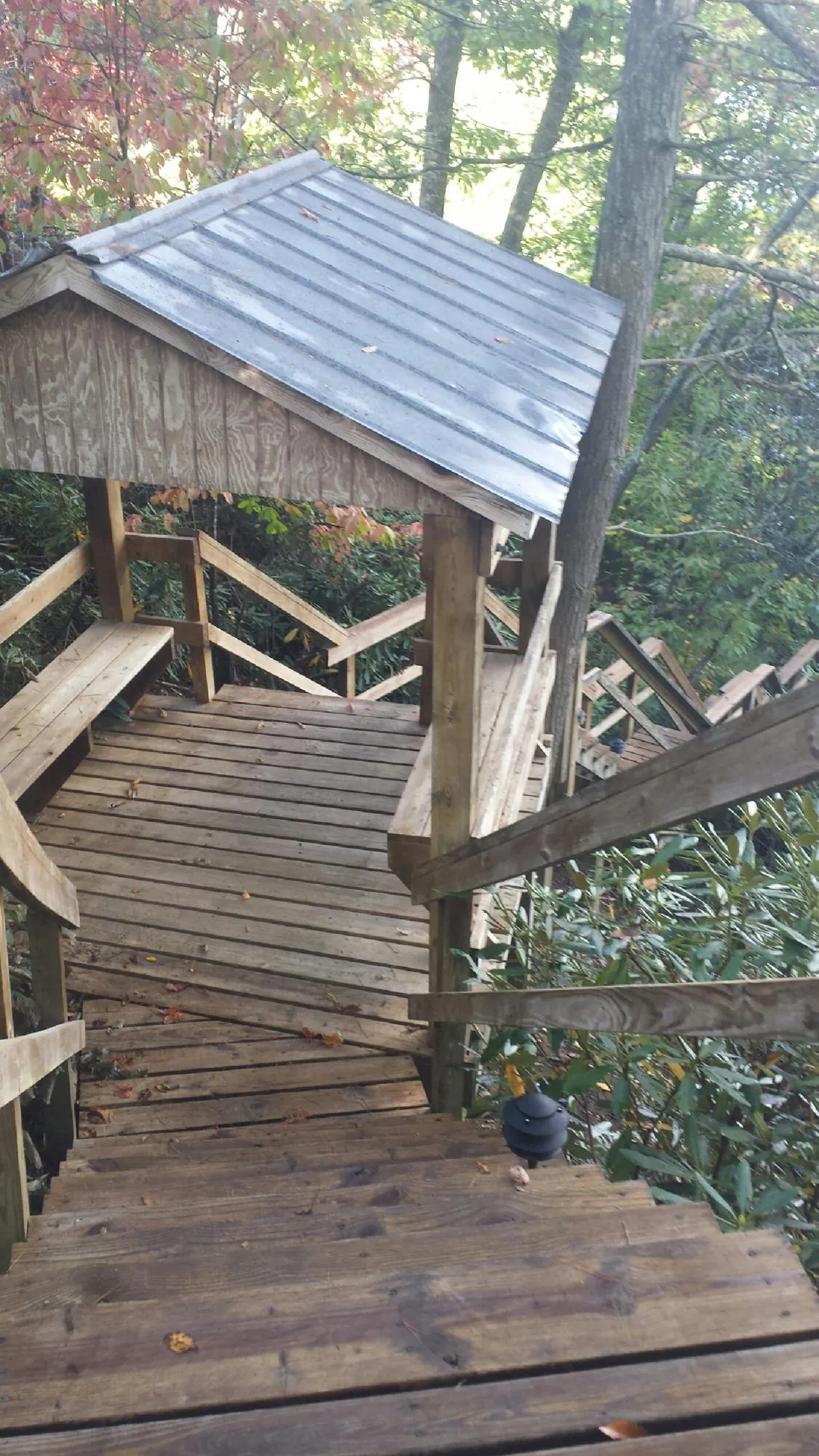 Metal roofed shelter over wooden steps on a wooded walkway — Skylight Repair & Installation work by our crew in Hooker