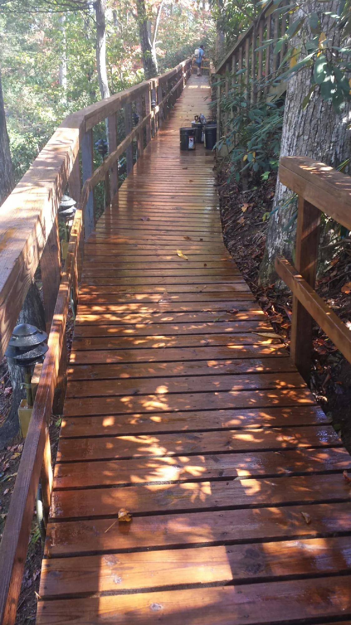 Freshly stained wood walkway winding through the woods in Hooker